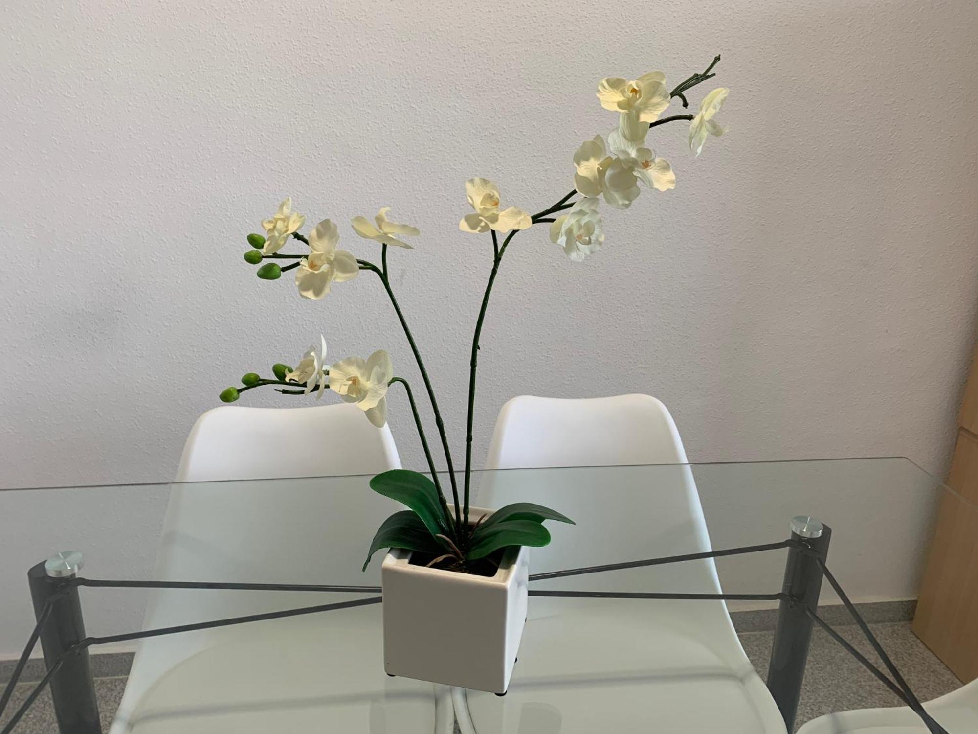 Apartament Cabo Mar El Campello Zewnętrze zdjęcie